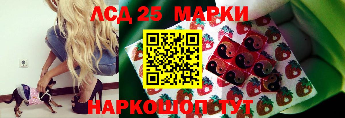 Лсд 25 экстази ecstasy  Вход с VPN  Южноуральск    tor  LSD-25 экстази ecstasy  ЛСД экстази 