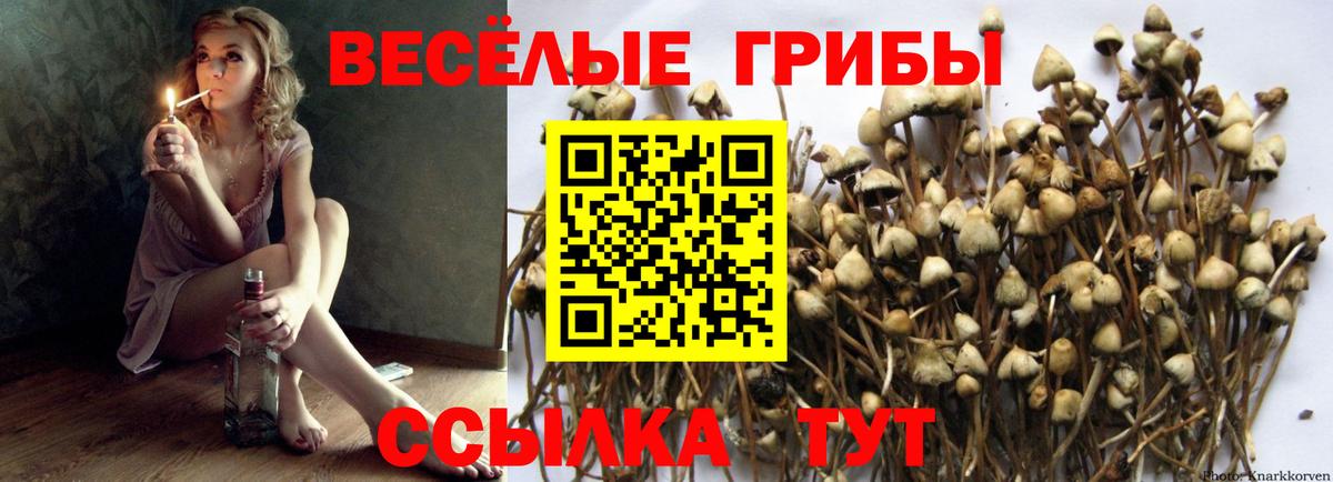 наркота  Псилоцибиновые грибы мицелий  Вход с VPN  Южноуральск 
